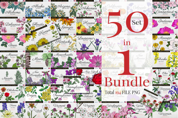 Download Bundles 50 States Flower of America - Bundles Collection
